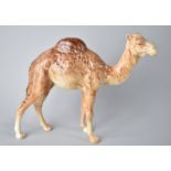 A Beswick Camel, no. 1044