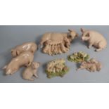 A Collection of Various Ceramic and Resin Pig Ornaments to include Examples by Aynsley, Border