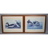 A Pair of Large Framed Bird Prints, Eared Grebe and Long Tailed Duck After Audubon, Each 60x36cm