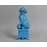 A Chinese Blue Glazed Temple Lion on Plinth Base, 25cm high