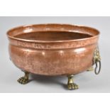 An Oval Copper Planter with Brass Lion Mask Ring Handles and Four Brass Claw Feet, 30cms Long