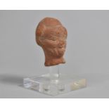 An Early Terracotta Mask on Perspex Museum Stand,. Overall Height 8cms