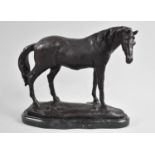 A Bronze Study of a Stallion on Marble Plinth, 24cm wide