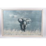 A Framed David Shepherd Print, Wise Old Elephant, 74x49cm now with cracked glass