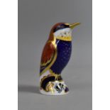 A Royal Crown Derby Paperweight, Bee-eater, Gold Button