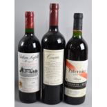 Three Bottles of Red Wine, Paternina Rioja 1995, Candela Malbec 2003 and Chateau Lafitte Mengin 1996