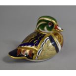 A Royal Crown Derby Paperweight, Carolina Duck, Gold Button