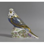 A Royal Crown Derby Paperweight, Violet Budgerigar, Gold Button