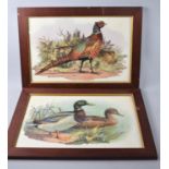 A Pair of Framed Prints, Pheasants and Mallards, Each 45x29cm