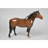 A Beswick New Forest Pony, 3rd, no.1646