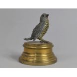 A Cold Painted Spelter Study of a Bird on Brass Circular Plinth, 9.45cms High