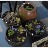 A Collection of Four Various Patio Planters