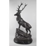 A Large and Impressive Patinated Bronze Study of a Stag on Rock, Set on Oval Stepped Marble