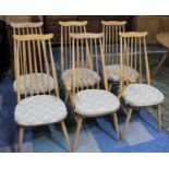 A Set of Six Ercol Blonde Goldsmith Chairs to Include One Carver