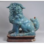 A Large Glazed Terrecotta Temple Lion on Plinth Base, Condition Issues with Loss and Glued Repair,