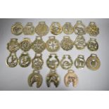 A Collection of Various Horse Brasses