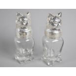 A Pair of Novelty Silver Plate and Glass Cruets in the Form of Cats, 13cms High
