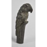 A Patinated Bronze Novelty Walking Cane Handle in the Form of a Perched Parrot, 12.5cms High