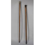 Two Vintage Malacca Walking Canes with Horn Handles
