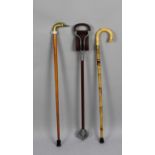 A Collection of Two Walking Sticks and a Shooting Stick