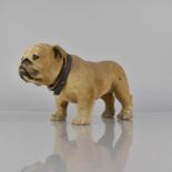 An Early 20th Century French Papier Mache Bulldog with Articulated Head, 23cm Long and 14cms High