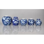 A Collection of Five Various 19th/20th Century Chinese Blue and White Prunus Pattern Ginger Jars,