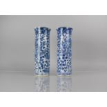 A Pair of 19th Century Chinese Porcelain Blue and WHite Sleeve Vases Decorated with Dragons