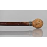 A Novelty Walking Cane with Silver Collar (Birmingham Hallmark) and Carved Head of Moustachiod