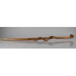 A 19th Century or Earlier Hedgerow Walking Stick with a Natural Twisted Shaft, 81cms Long
