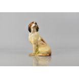 A Royal Doulton Study of a Seated Hound, in Rare Natural Colourway, no. HN231, no Factory Mark so