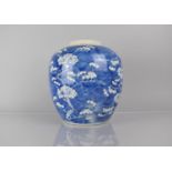 A Large 19th Century Chinese Blue and White PRunus Pattern Ginger Jar, Double Concentric Mark to