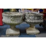 A Pair of Campana Shaped Garden Reconstituted Stone Planters, 37cms Diameter