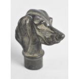 A Novelty Bronze Walking Stick Handle in the Form of a Bloodhound, 8cms High