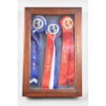 A Wall Hanging Mahogany Framed Collection of National Light Horse Breeding Society Rosettes,