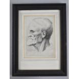 A Framed Miniature Print of an Etching After Leonardo Da Vinci by W Hollar, 12x8cm