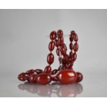 A String of 49 Ovoid Cherry Bakelite Amber Beads, Largest 38mm by 25mm, 120.3gms, 105cms Long Approx