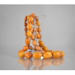 A Victorian String of 54 Graduated Orange Amber Beads, Largest 20mm by 15mm, Approximate Overall