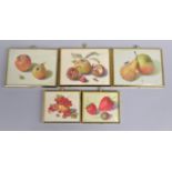 A Collection of Five Brass Framed Miniature Paintings, Still Lives, Fruit, Oil on Ivorine by