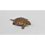 A Small Signed Bronze Study of a Turtle, 5.5cms Long