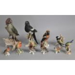 A Collection of Various Goebel Bird Ornaments, Woodpecker, Robin, Blue Tits Etc (Condition Issues)