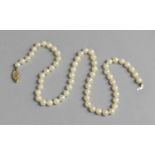 A Pearl Necklace with 9ct Gold Clasp (AF)