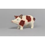 A Glazed Ceramic Novelty Money Box in the Form of a Pig, 13.5cms Long