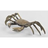 A Large Cast Brass Study of a Crab, 22cms Wode