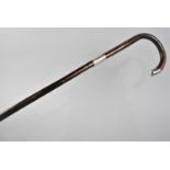 A Silver Mounted Bamboo Walking Stick, Hallmarked for Birmingham 1920, 90cms High