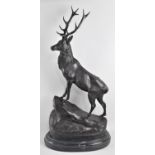A Very Large and Heavy Bronze Study of Stag on Rock after Moignier on Oval Stepped Marble Base,