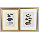 Two Framed Peter Scott Limited Edition Prints, Fish, 10x15cm