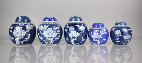 A Collection of Five Various 20th Century Prunus Pattern Ginger Jars and Covers, Tallest 15cms High.