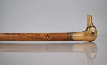 A Nice Quality Early 20th Century Malacca Shafted Walking Stick with Duck Head Handle Formed from