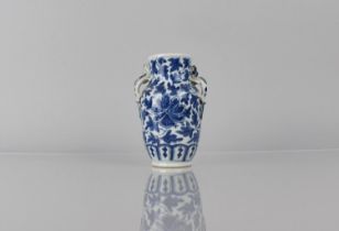 A 19th Century Chinese Porcelain Blue and White Vase decorated with Central Flower Motif Amongst