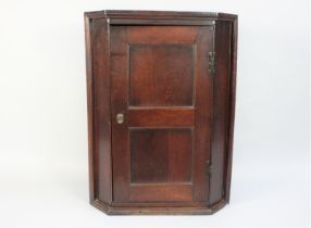 An 18th Century Oak Corner Cupboard with a Twin Panelled Door and Original Brass Hinges. 68cms